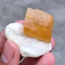 Golden Calcite on Okenite From India - image 2