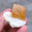 Golden Calcite on Okenite From India - image 7