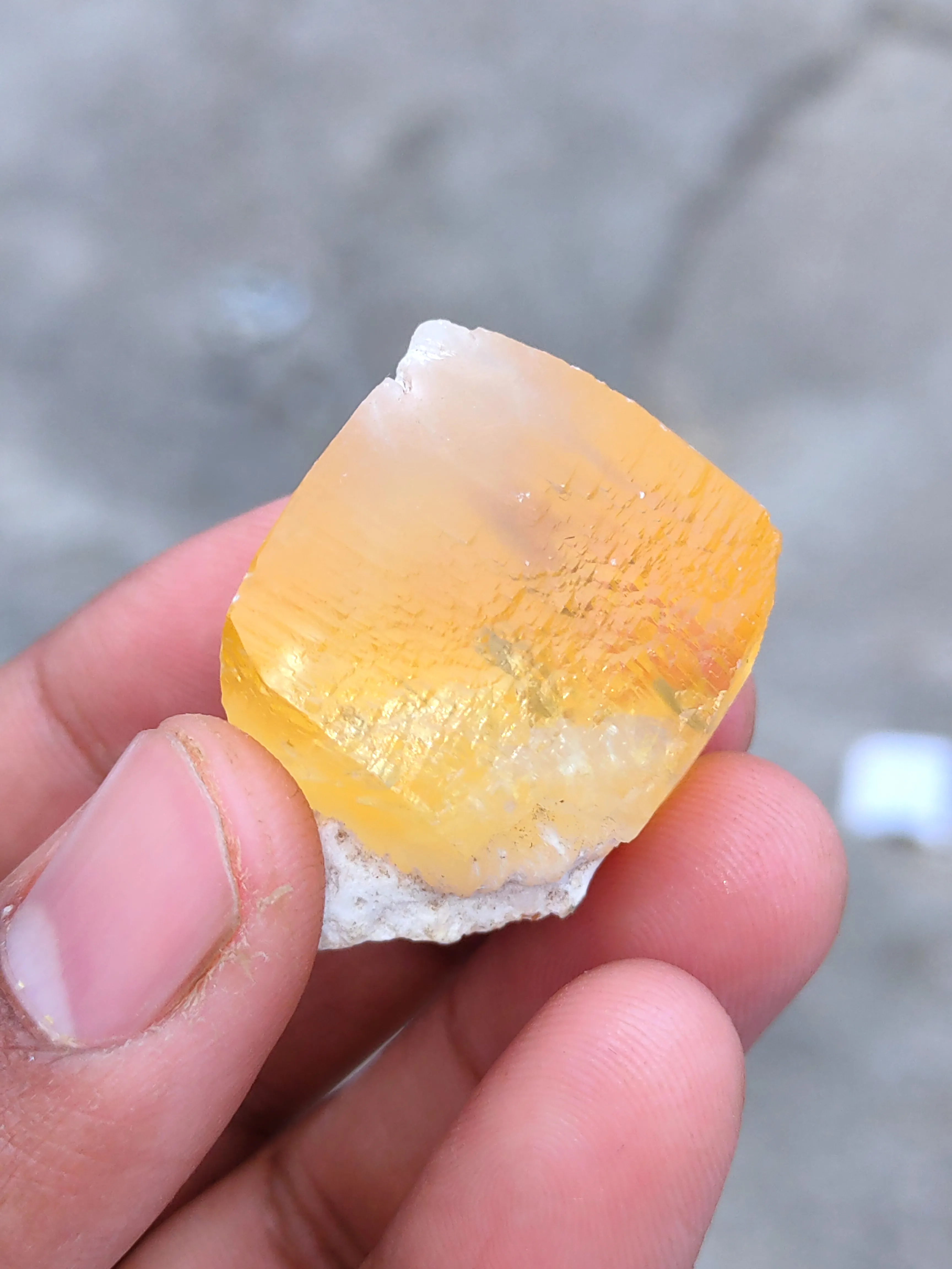 Golden Calcite on Okenite Matrix. - image 5