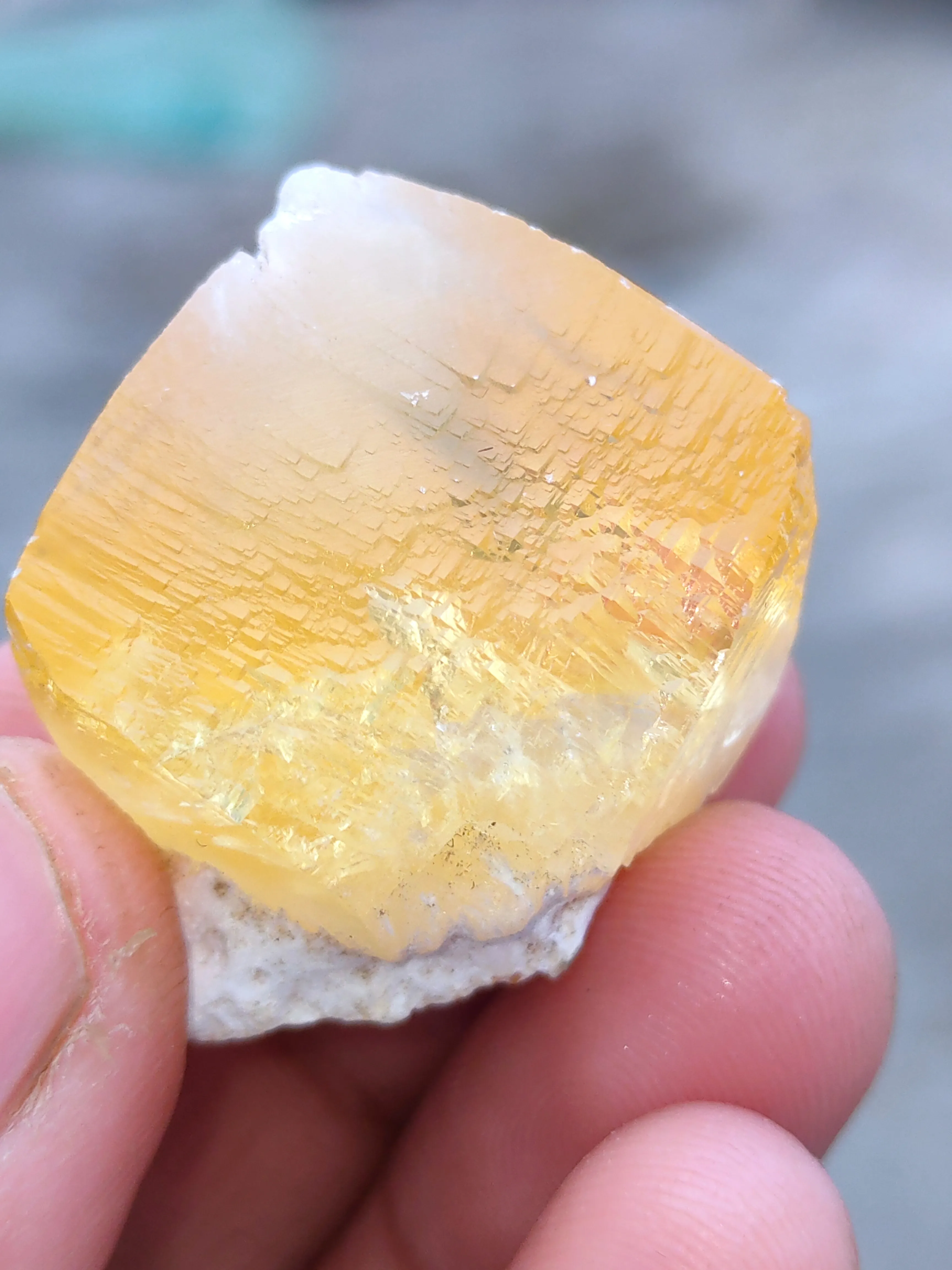 Golden Calcite on Okenite Matrix. - image 6