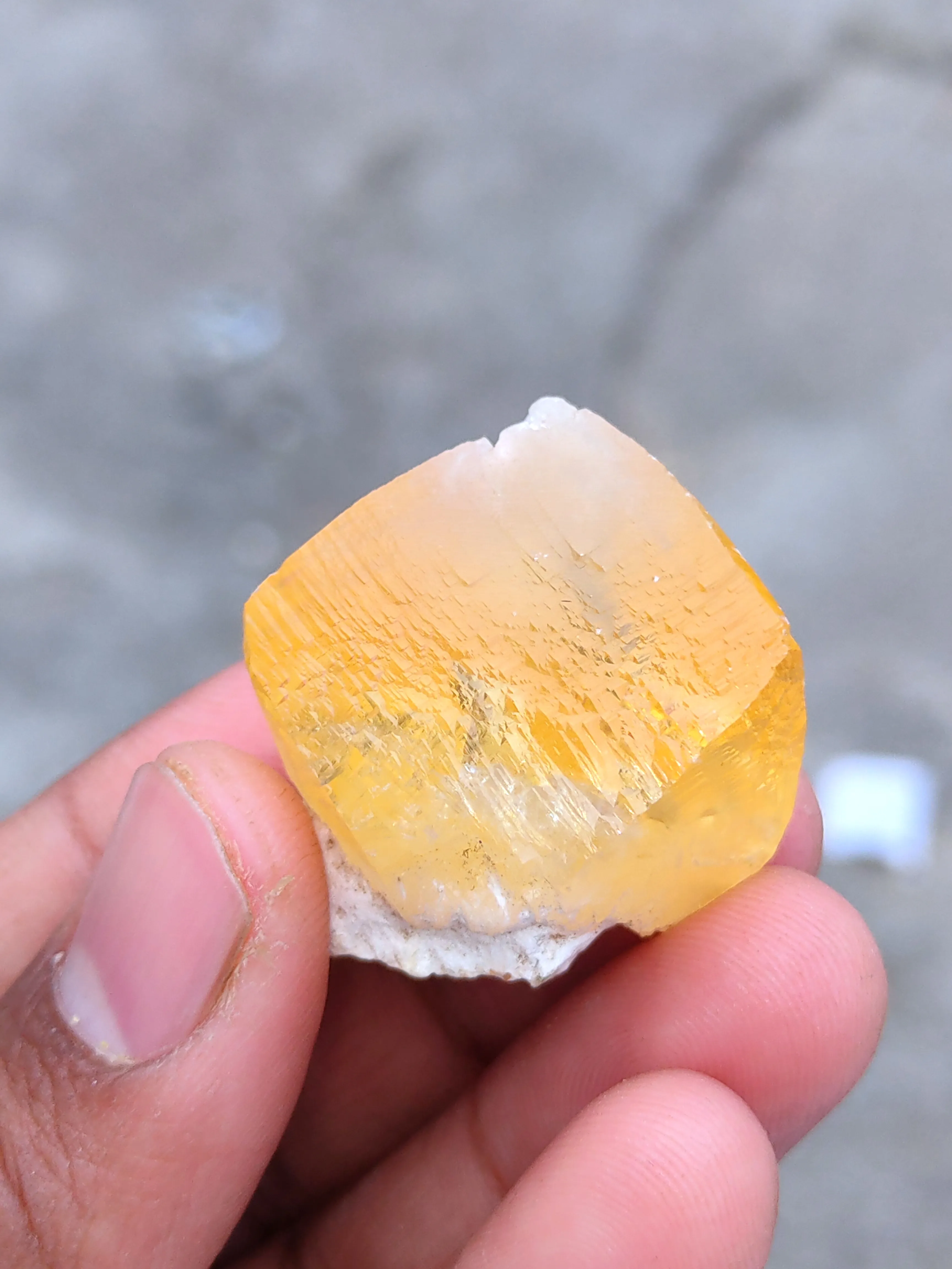 Golden Calcite on Okenite Matrix. - image 3