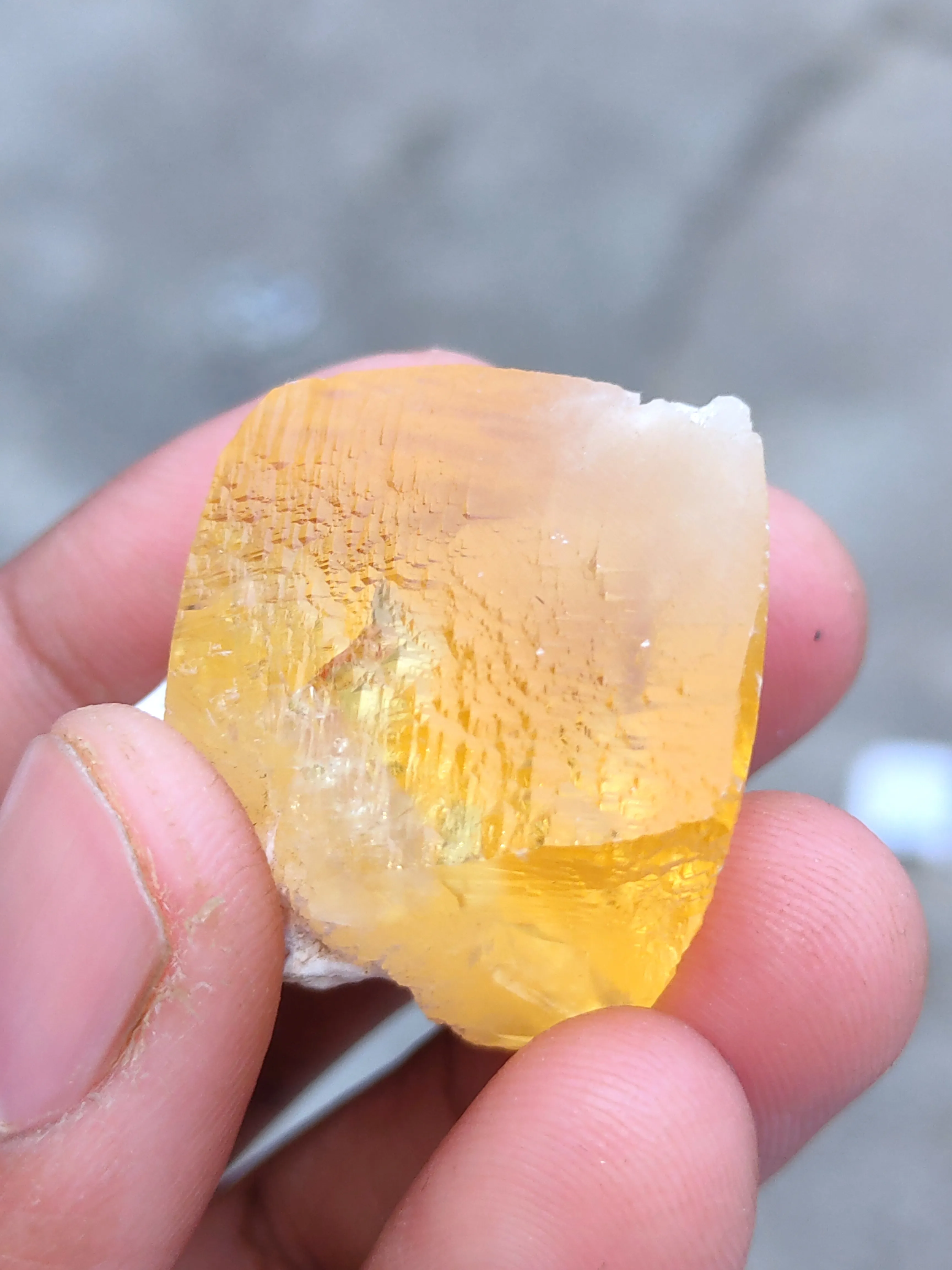 Golden Calcite on Okenite Matrix. - image 4