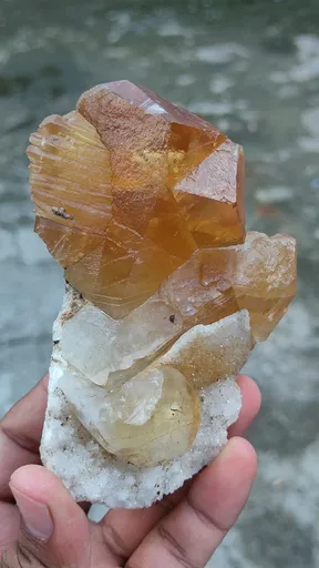 specimen video