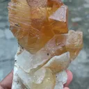 specimen video