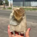 Golden Honey Calcite Crystal – Rare Indian Zeolite Specimen from Maharashtra | Terminated Collector Piece - image 8