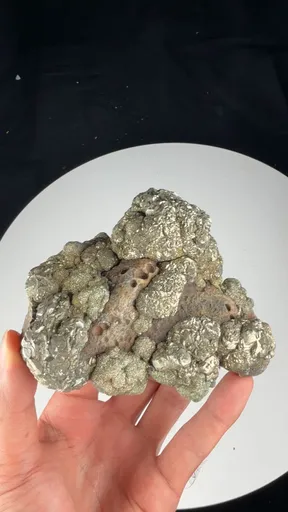 specimen video