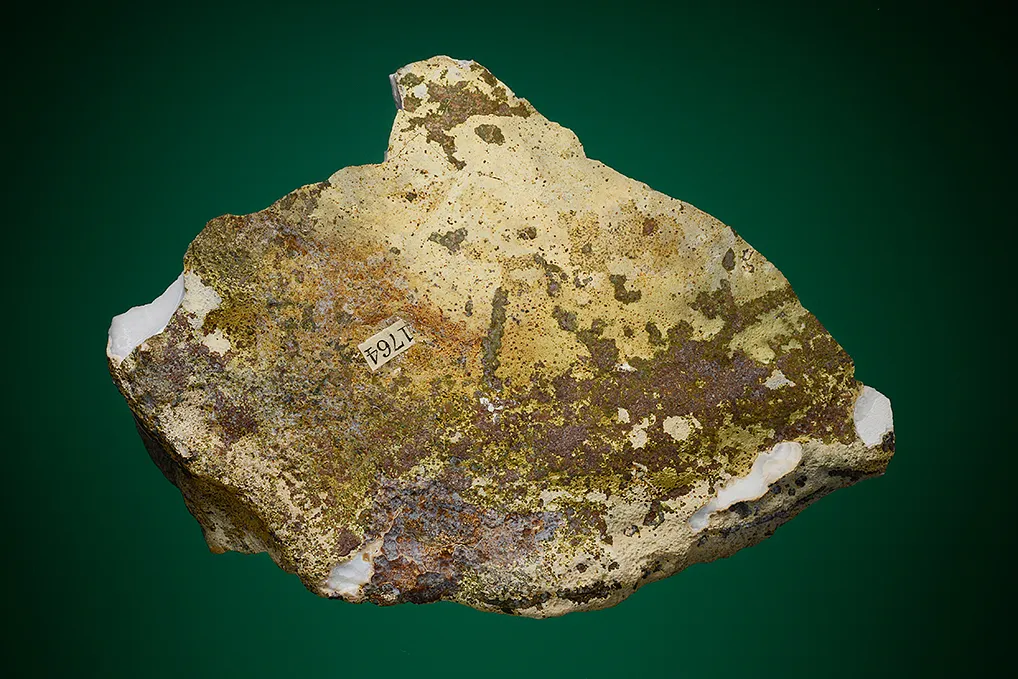 Goosecreekite on Quartz var. Amethyst - image 2