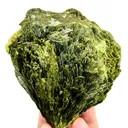 Gorgeous Huge Green Tree Epidote From Pakistan - image 3