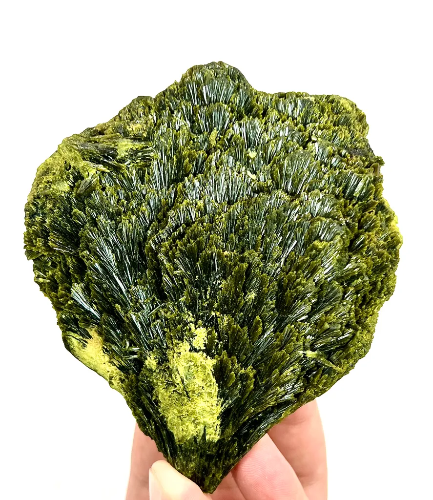 Gorgeous Huge Green Tree Epidote From Pakistan image