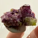 Gorgeous Vesuvianite var. Manganoan Jeffrey Mine, Quebec, Canada - image 5
