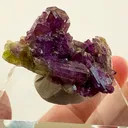 Gorgeous Vesuvianite var. Manganoan Jeffrey Mine, Quebec, Canada - image 4