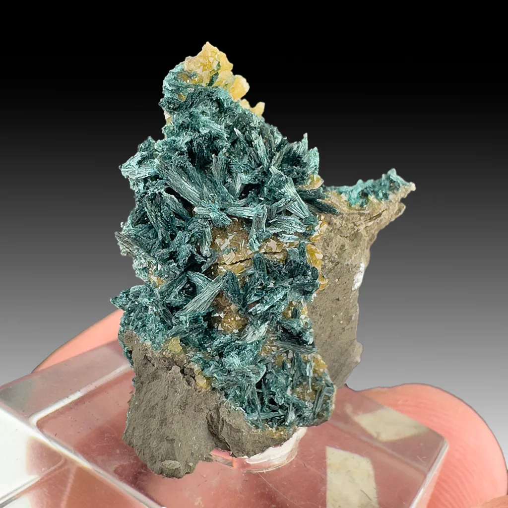 Gormanite image