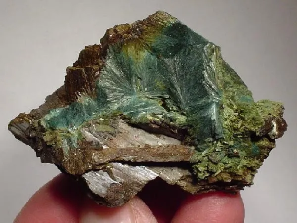 Gormanite image