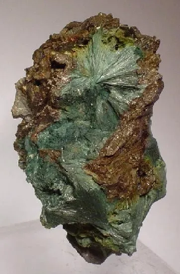 Gormanite image