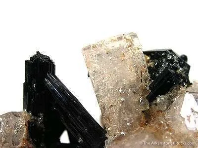 Goshenite (Beryl) on Schorl - image 2