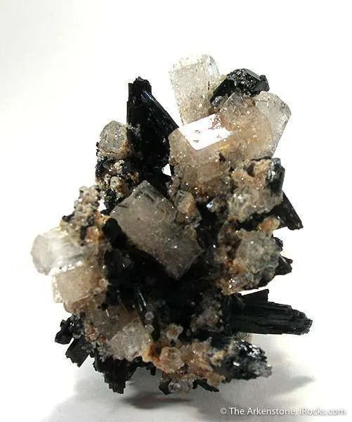 Goshenite (Beryl) on Schorl image