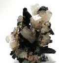 Goshenite (Beryl) on Schorl - image 1