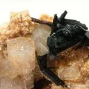 Goshenite (Beryl) With Schorl - image 2