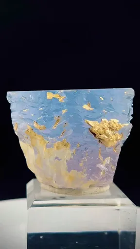 specimen video