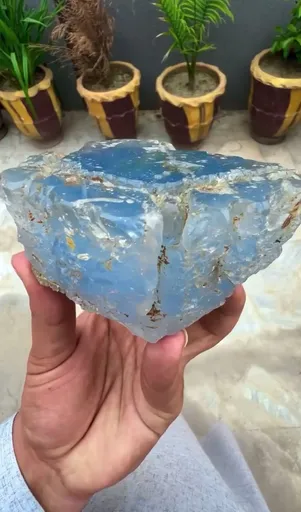 specimen video