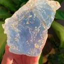 specimen video