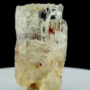 specimen video