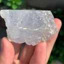 specimen video
