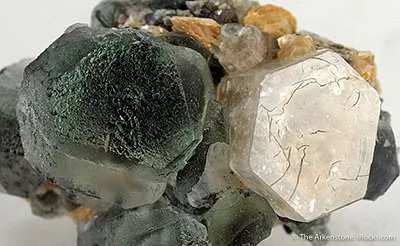 Goshenite on Fluorite - image 2