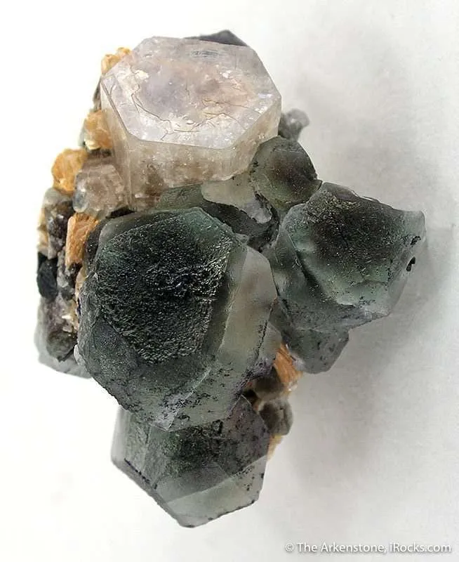 Goshenite on Fluorite image