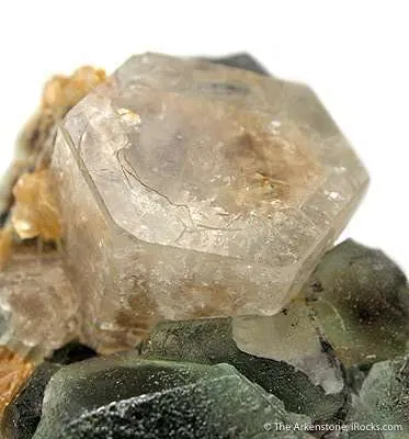 Goshenite on Fluorite - image 3