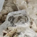 Goshenite with Muscovite from Xiebaoding, Sichuan, China. Fine cabinet specimen featuring glassy, tabular Goschenite - image 7