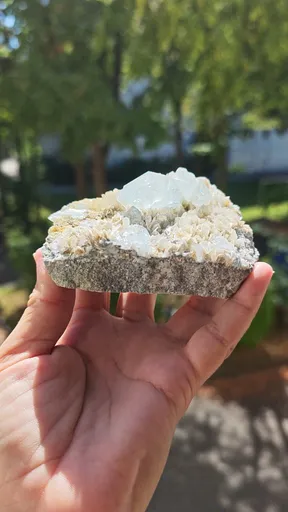 specimen video