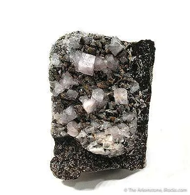 Goyazite, Siderite image