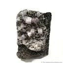 Goyazite, Siderite - image 1