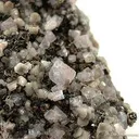 Goyazite, Siderite - image 2