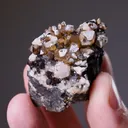 GOYAZITE with Siderite - image 2