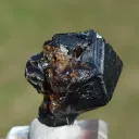Grandite Garnet & Melanite 39 grams - Diakon, Bafoulabé Circle, Kayes Region, Mali - image 8