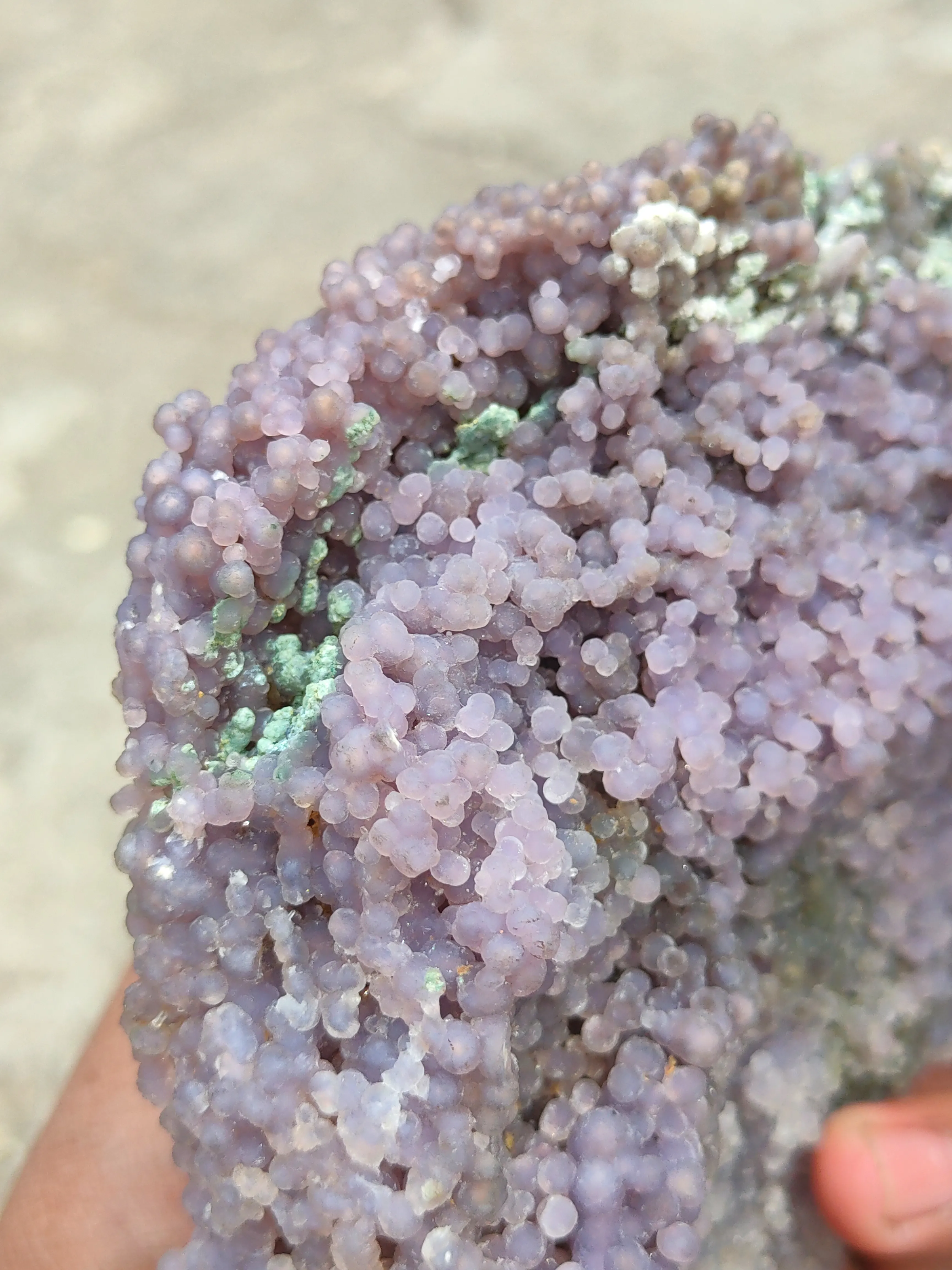 Grape Agate - image 4