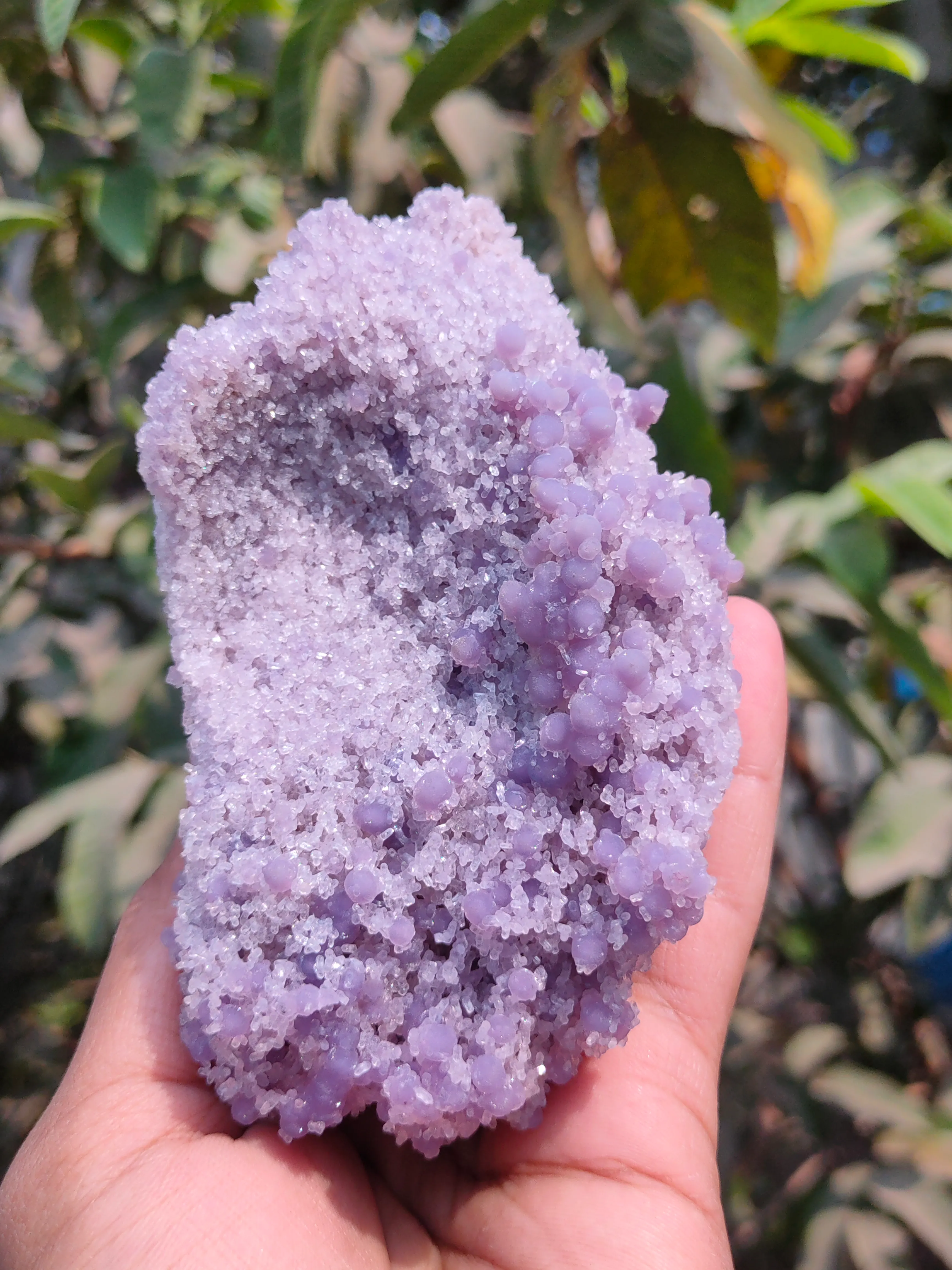 Grape Agate Specimen - image 2