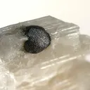 Graphite, Calcite - image 2