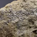 Gratonite - image 1