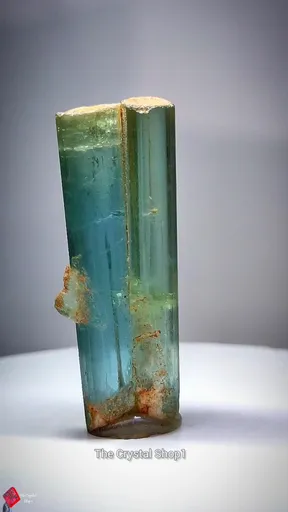 specimen video