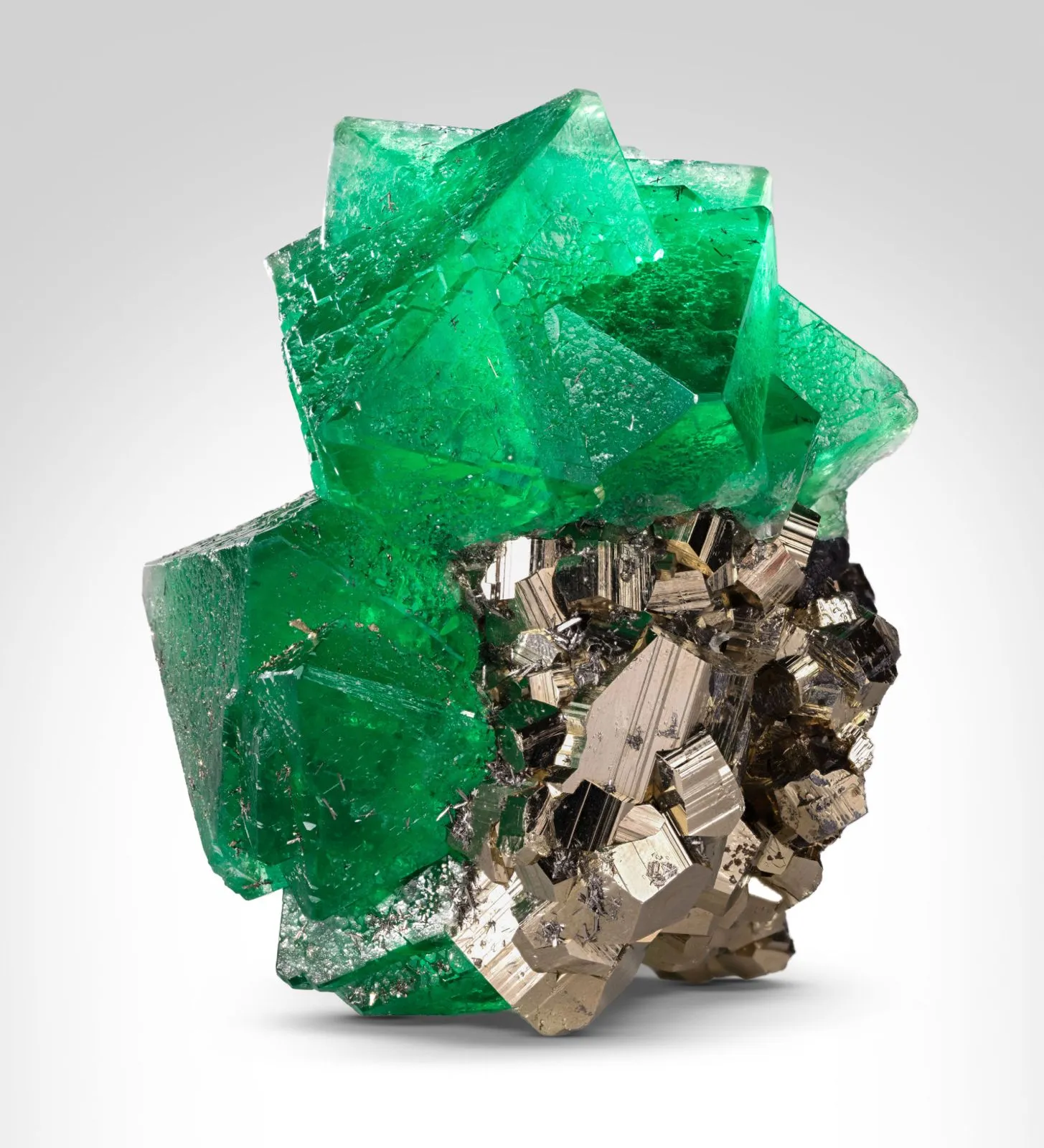 Green and gold - image 2