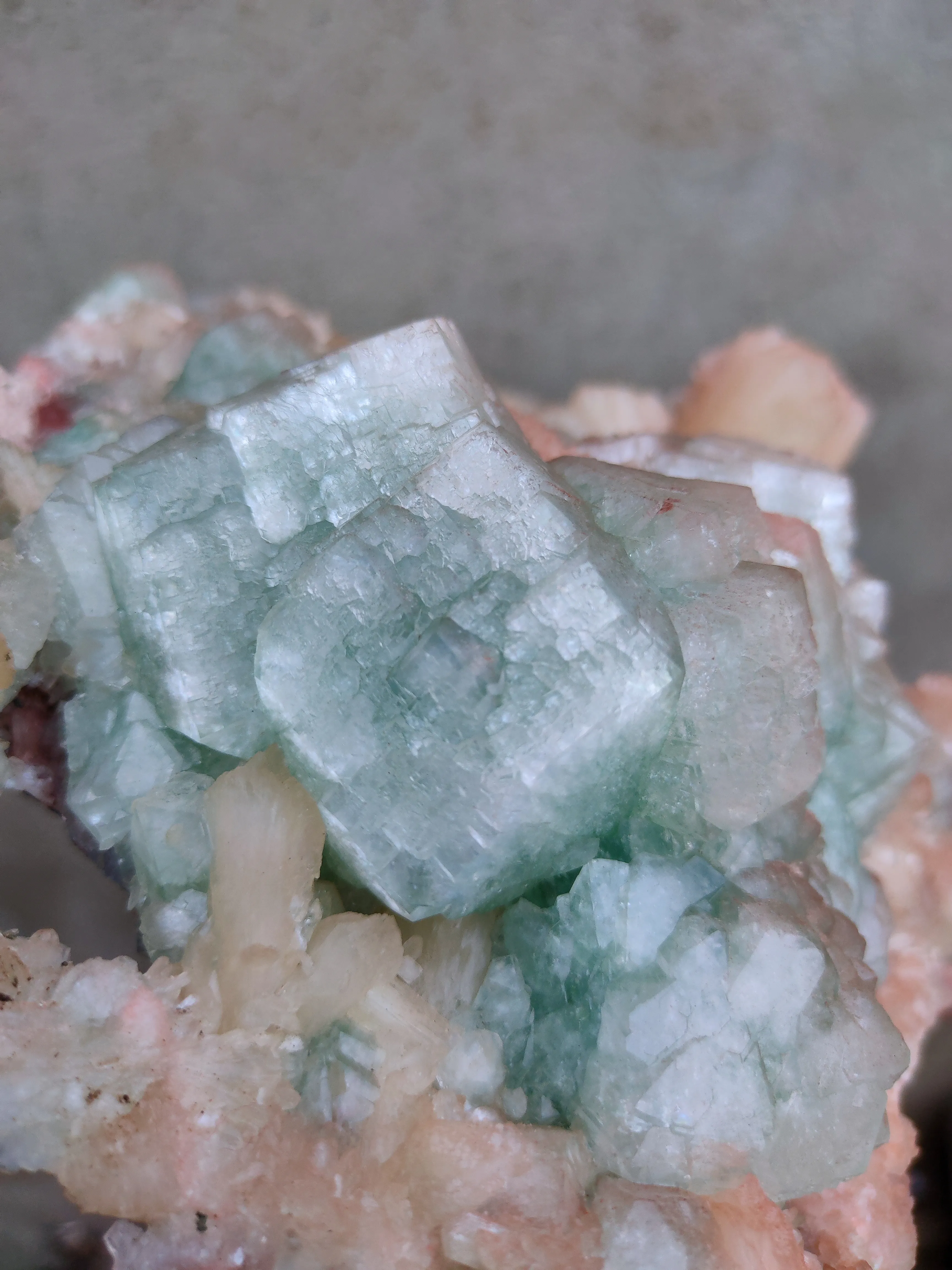 Green and Red Apophyllite with Red Stilbite. - image 4