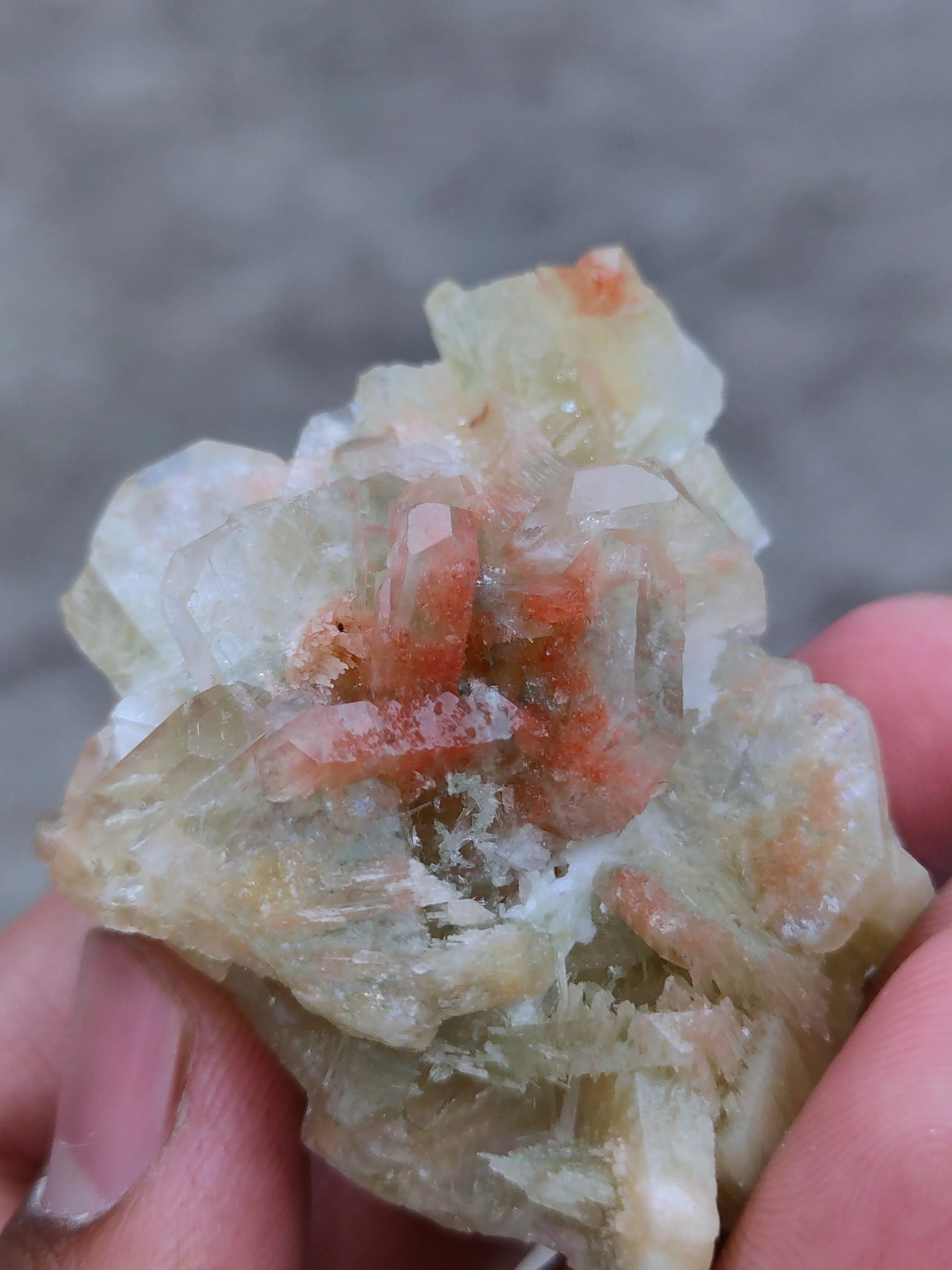 Green and Red Apophyllite with Scolecite - image 8