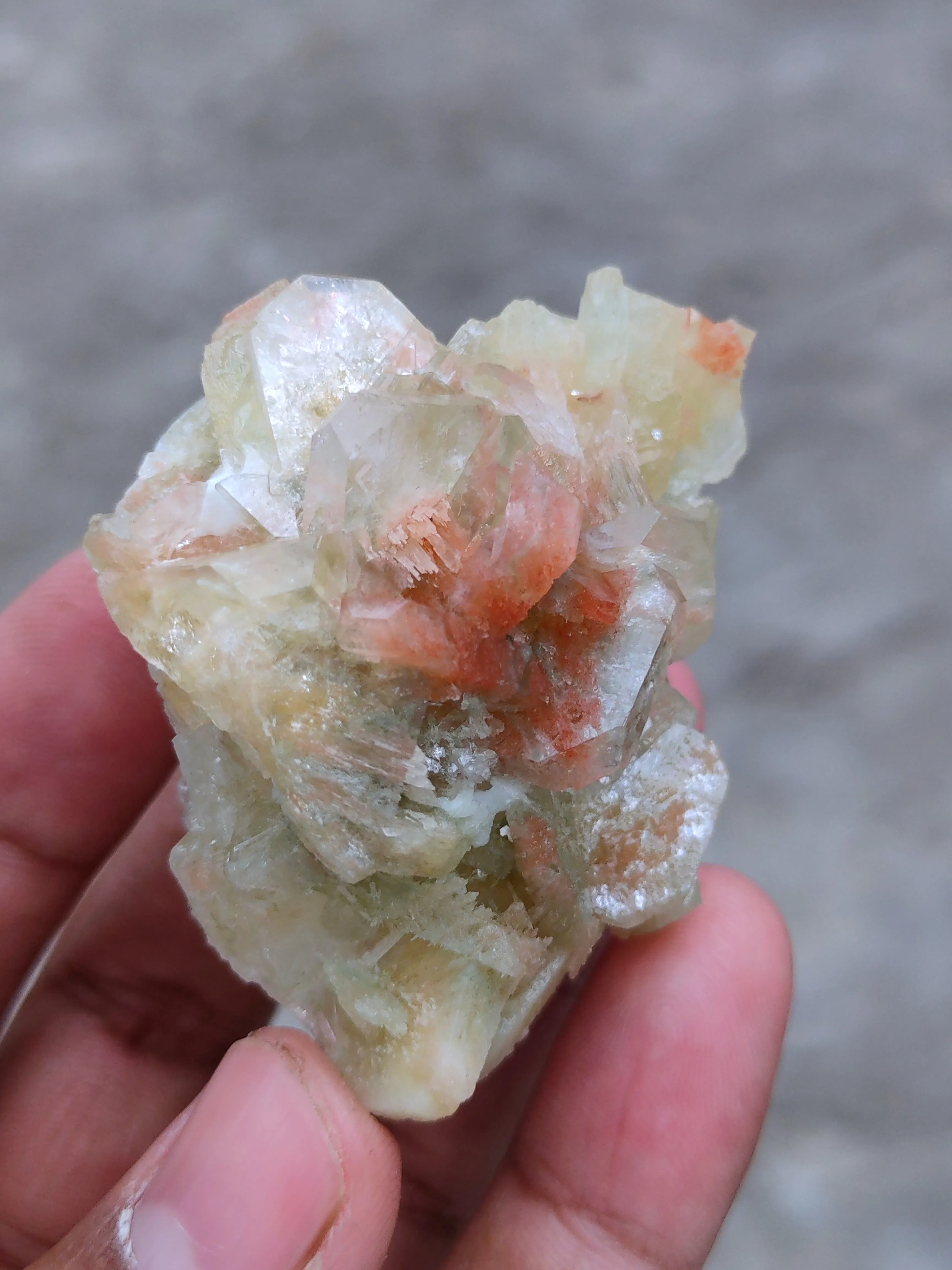 Green and Red Apophyllite with Scolecite - image 5