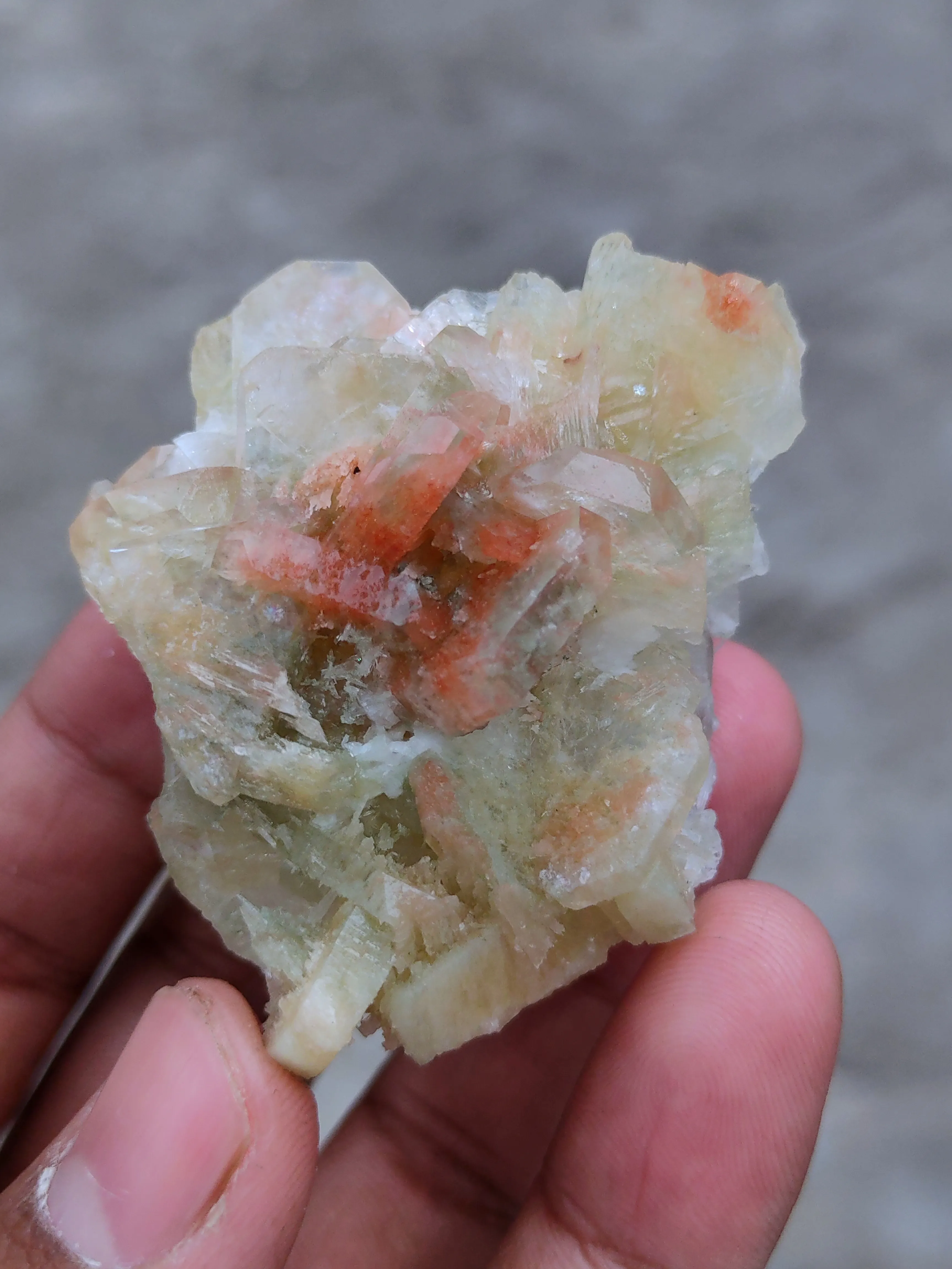 Green and Red Apophyllite with Scolecite - image 6
