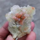 Green and Red Apophyllite with Scolecite - image 2