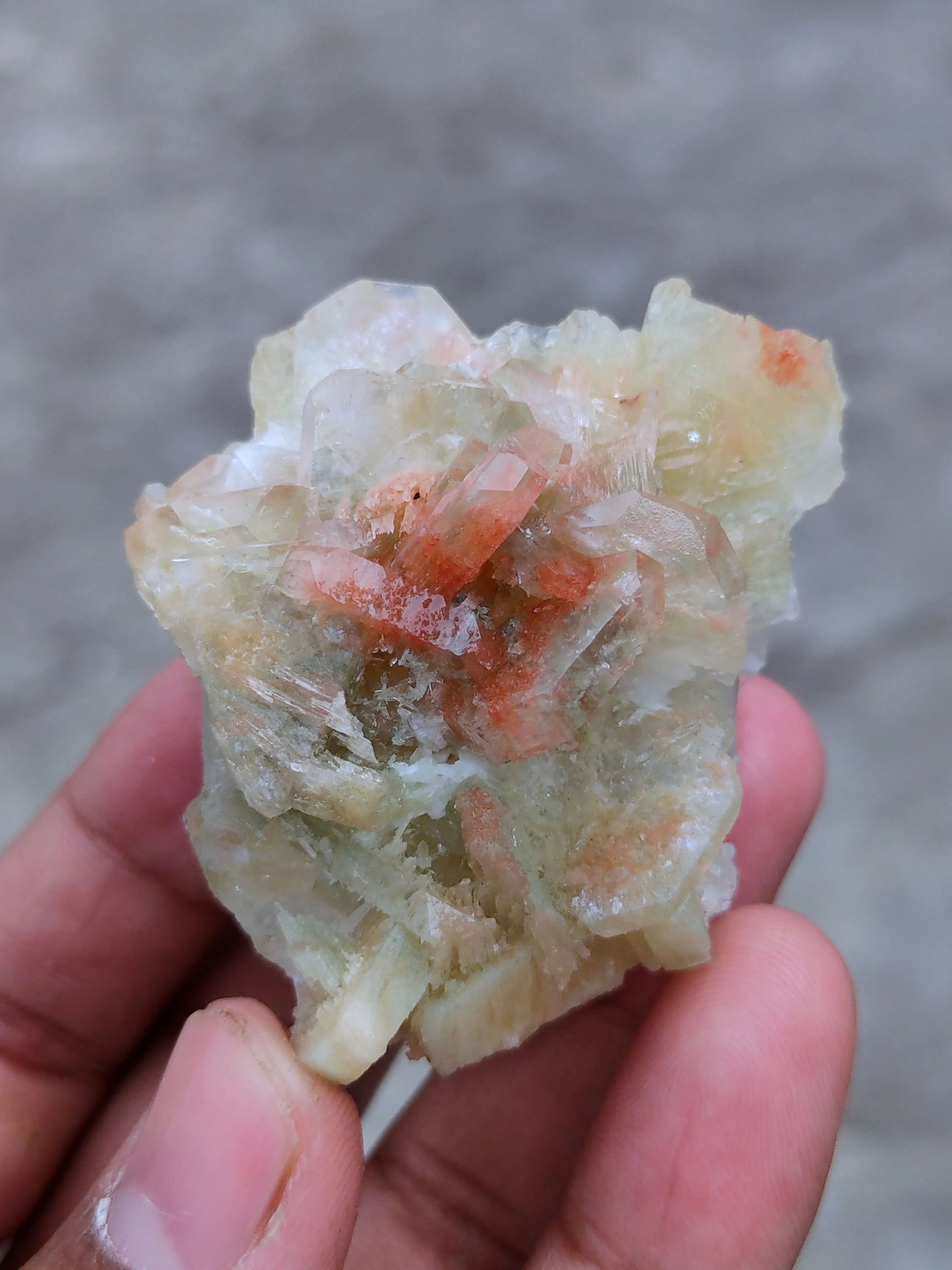 Green and Red Apophyllite with Scolecite - image 2