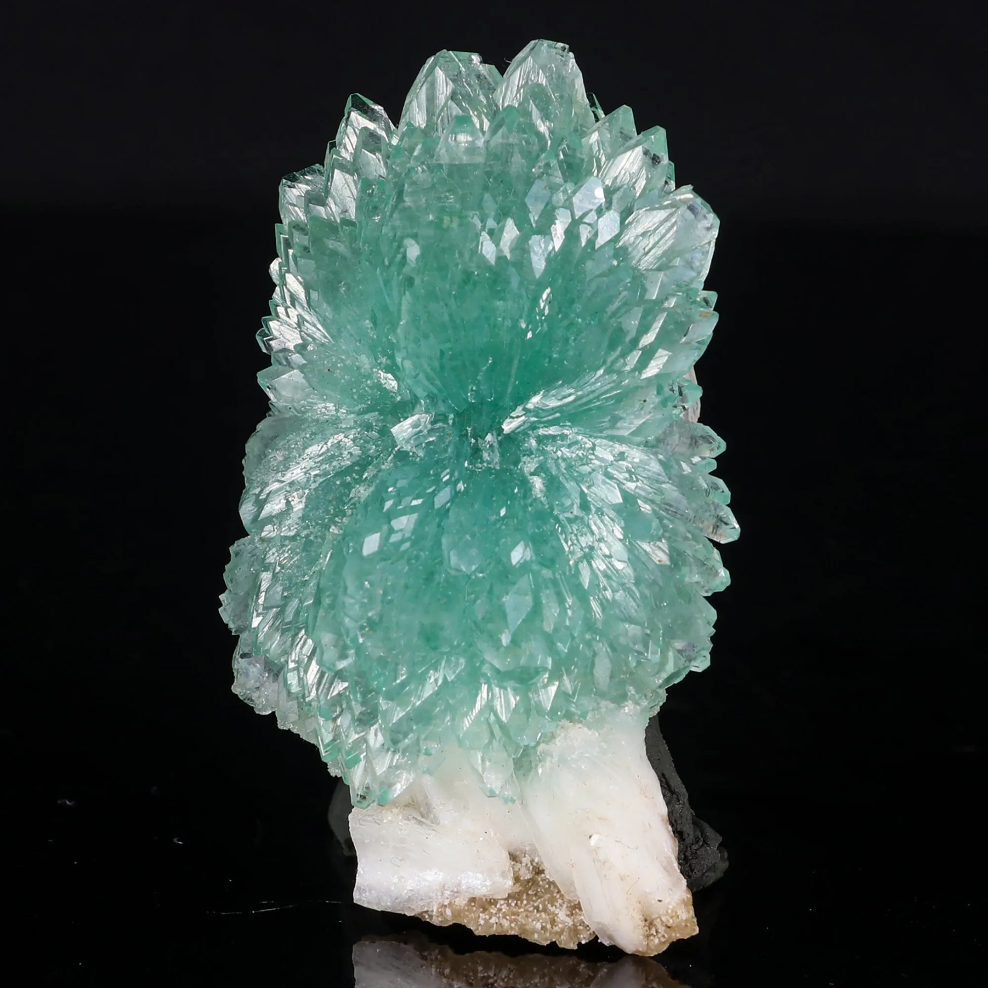 Green Apophyllite Bow with Stilbite Natural Mineral Specimen - image 2